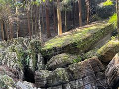 -梭布垭石林景区