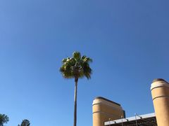 -木乃伊复仇过山车