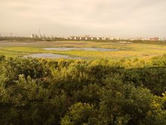 -天津东丽湖风景区