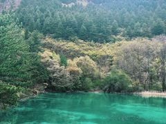 -九寨沟风景区