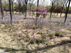 -济南国际园博园