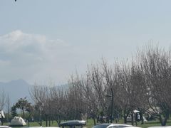 -洨河生态公园