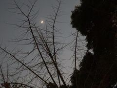 -成都市活水公园