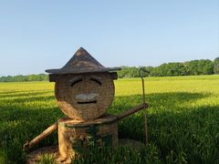 -嘉北郊野公园