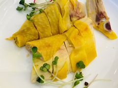 -骏莱海鲜鱼港(五角场店)