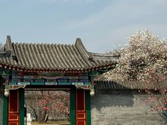 -北京颐和宾馆