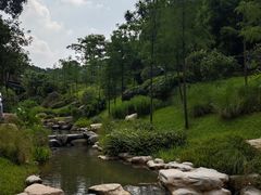 -云溪植物园