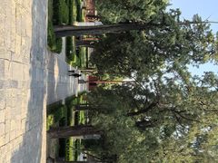 -中岳庙