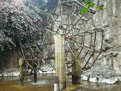 -广东茂名森林公园