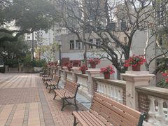 -香港大学