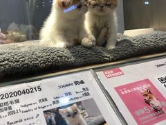 -狗道宠物(常熟印象城店)