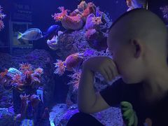 -成都浩海立方海洋公园