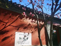 -红螺寺