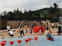 -铁山坪森林公园