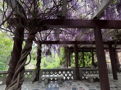 -龙口南山旅游景区
