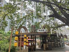 -成都市活水公园