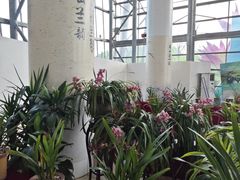 -南山植物园