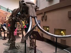 -陕西自然博物馆