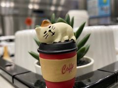 -缶乐FOLLOW咖啡