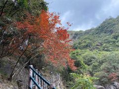 -百漈沟生态旅游景区
