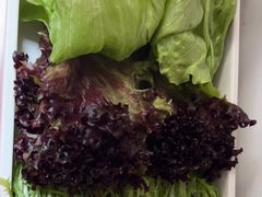 -南门四季铜锅涮肉(大屯·北苑店)