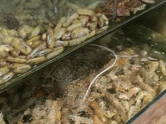 -四海鲜渔家菜(黄金海岸店)