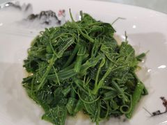 凉拌丝瓜尖-玉华宫宾馆·餐厅(铜川驻京办店)