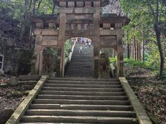 -缙云山景区