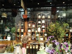 -宝鸡东道花鸟鱼虫市场(吉利花园商场店)