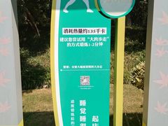 -青枫公园