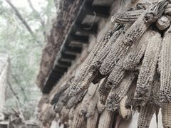 -井塘古村