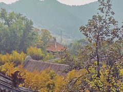 -潭柘寺景区