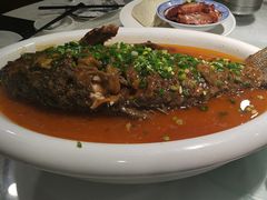 -老雒阳面馆·水席(洛宁高速路口店)
