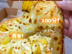 -达美乐比萨(墨玉南路店)