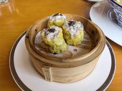 -广州富力君悦大酒店空中花园