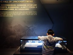 -自贡恐龙博物馆