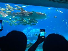 -雨林餐厅(长隆海洋王国店)