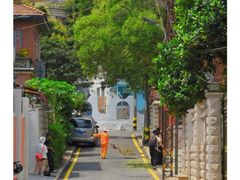 -溪岸路花鸟市场
