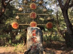 -北海金海湾红树林生态旅游区