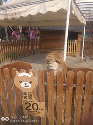 -萌宠亲子动物乐园(槐房万达店)