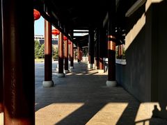 -鄱阳湖国家湿地公园