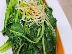油菜-新疆食府(华龙店)
