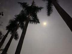 -田心森林公园