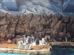 -香港海洋公园