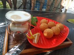 -柴犬高等学院·狗咖·柴犬售卖·宠物训练