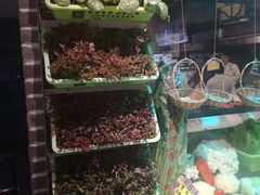 -黄三怪(无影山北路店)