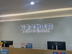 -阿荣24H宠物医院·综合型转诊中心·CT·核磁影像中心