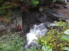 -关门山森林公园