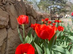 -国家植物园南园