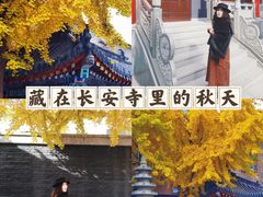 -长安寺